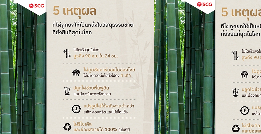 หนึ่งในวัสดุธรรมชาติที่ยั่งยืนที่สุด