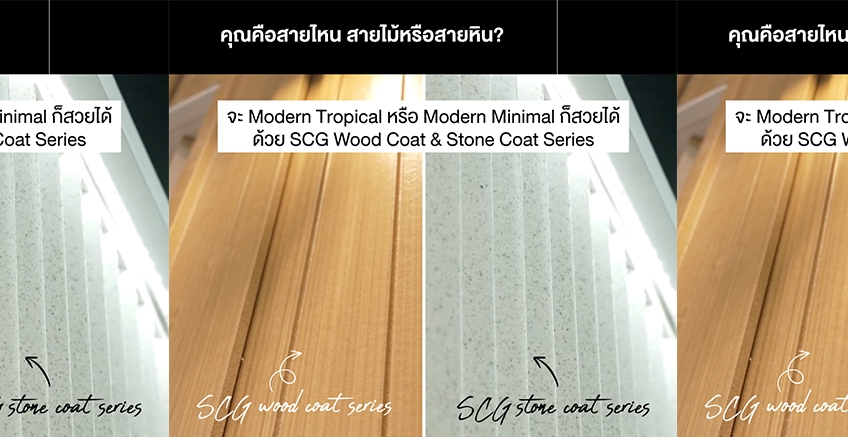 คุณคือสายไหน ? สายไม้หรือสายหิน