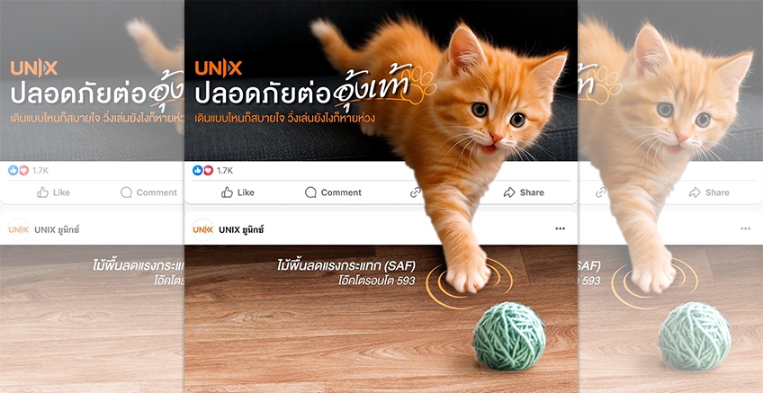พื้นไม้ที่ปลอดภัยต่อเจ้าแมวเหมียว